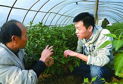 耶鲁村官：秦玥飞